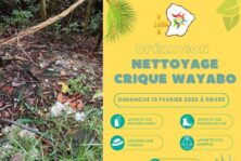 NETTOYAGE CRIQUE WAYABO